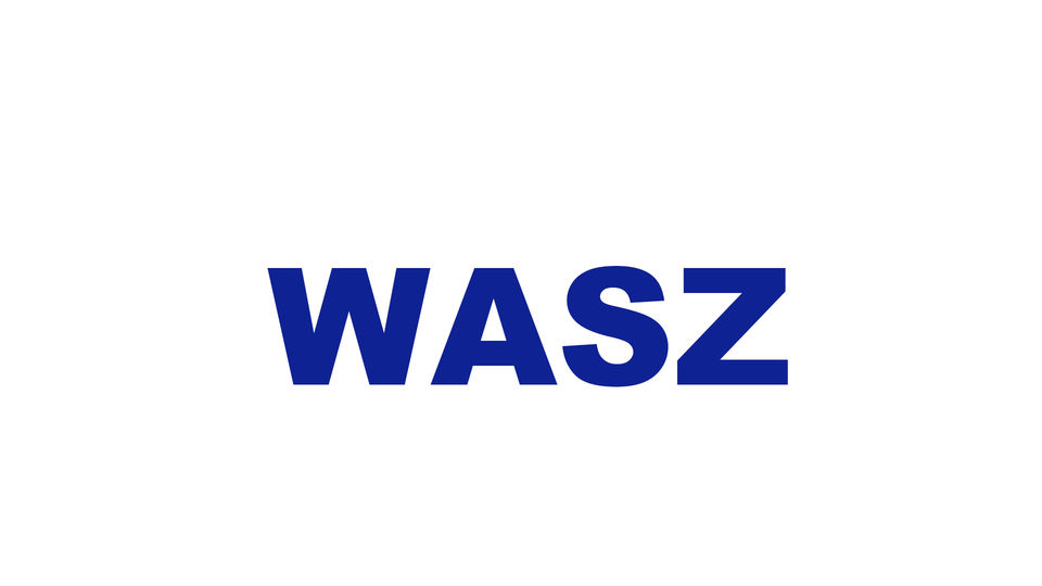 wasz / wasza / wasze
